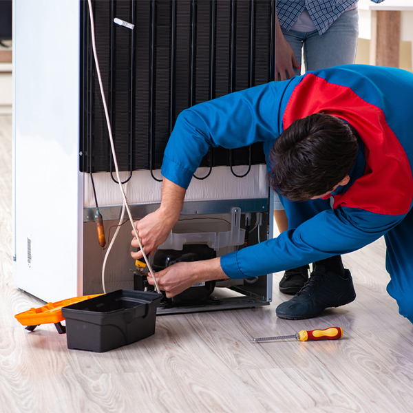 what are the common refrigerator repair services in Elk Ridge